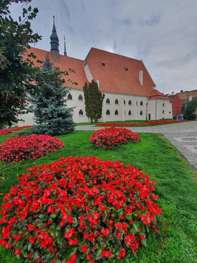Via Transilvanica Sighisoara 호텔 외부 사진